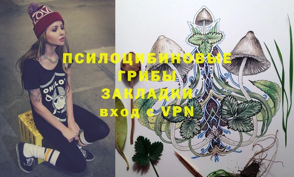 стаф Киселёвск