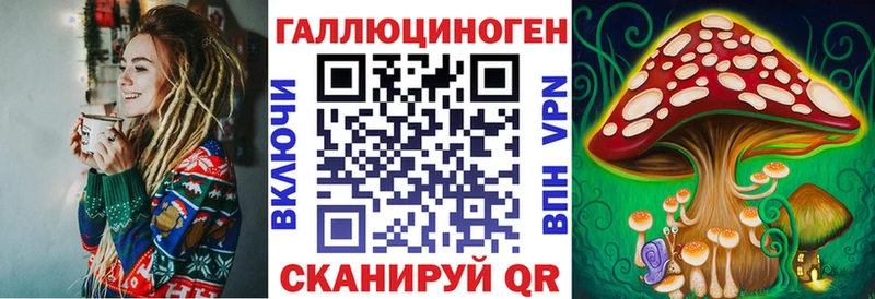Купить закладки  Качканар  Галлюциногенные грибы мицелий 